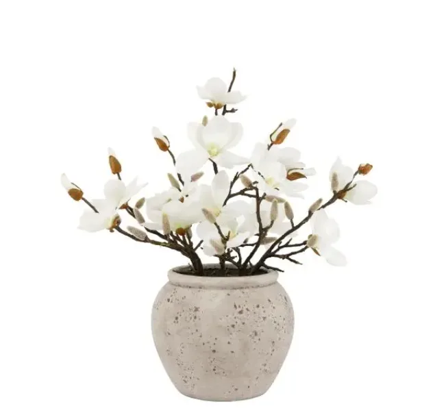 Magnolia Vase Arrangement