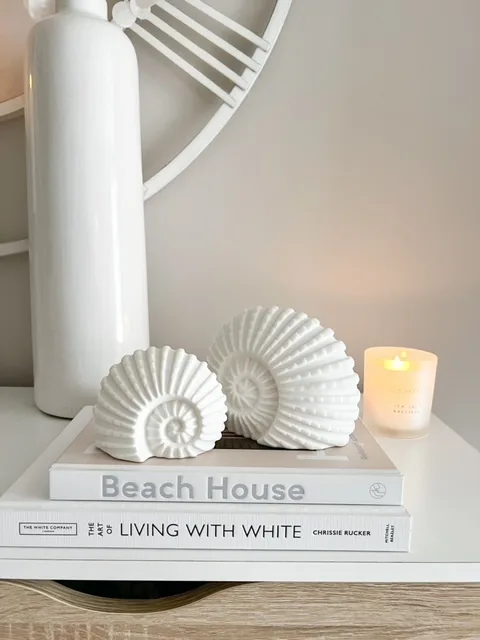 Large light up ceramic decorative ammonite shell