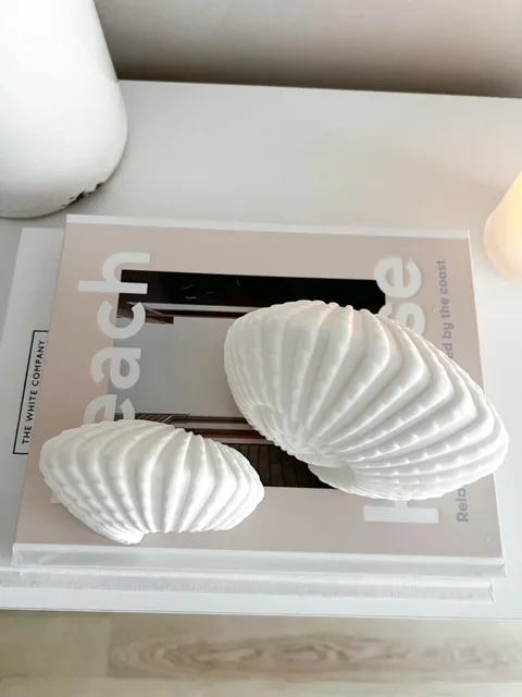 Large light up ceramic decorative ammonite shell